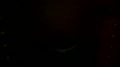 Snapshot of annecharlie chatting on 30, 11, 2025 annecharlie online show from 30, 11, 2025