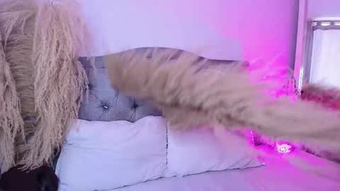 Snapshot of annie_20_ chatting on 27, 3, 2026 annie_20_ online show from 27, 3, 2026