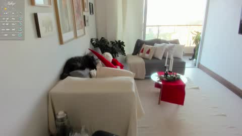 Anny online show from 9, 11, 2025