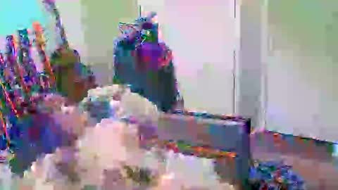 Snapshot of anssyboy696 chatting on 11, 10, 2025 anssyboy696 online show from 11, 10, 2025