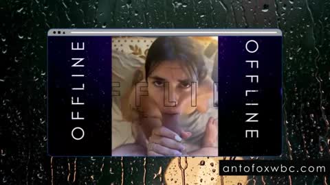 Snapshot of antofoxwbc chatting on 4, 2, 2025 Anto online show from 4, 2, 2025