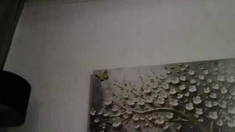 Snapshot of anybigtitts chatting on 1, 3, 2026 AnyBigTitts online show from 1, 3, 2026