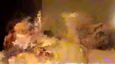 anythingyoulike2025 online show from 30, 11, 2025