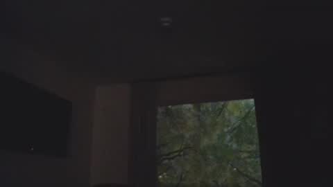 Daddy online show from 5, 11, 2025