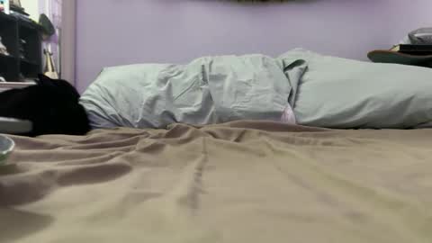 cowboy online show from 4, 12, 2025