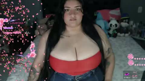 SOFIA online show from 8, 3, 2026