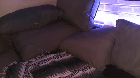 Shy Happy Pair online show from 25, 9, 2025