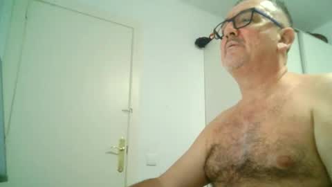 Snapshot of apixaba chatting on 8, 9, 2025 furry bear online show from 8, 9, 2025