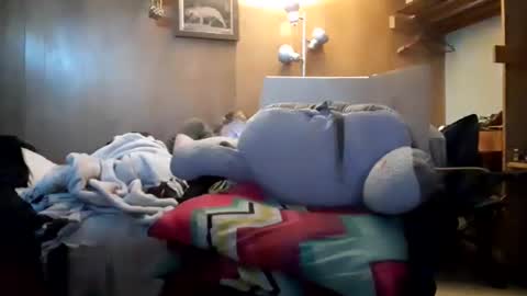 apocolypseanomaly online show from 26, 12, 2024