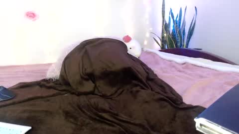 Apolo online show from 11, 12, 2024