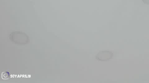 April online show from 13, 2, 2026