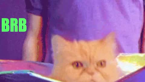 aprill_o_nill online show from 17, 4, 2026