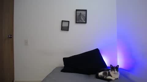  777 online show from 19, 12, 2024