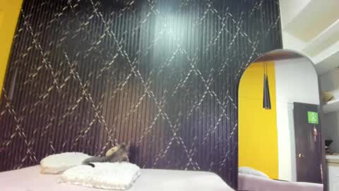 Aria Millers  online show from 9, 11, 2025