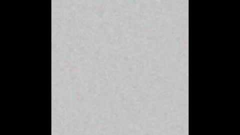 Arianna Collins online show from 11, 10, 2025