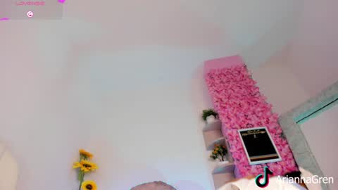 Arianna online show from 23, 12, 2024