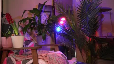 Snapshot of arianna_richi chatting on 20, 3, 2026 Olivka online show from 20, 3, 2026