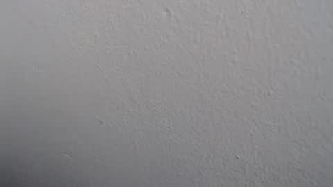 Snapshot of ariannaloovel chatting on 27, 5, 2026 ariannaloovel online show from 27, 5, 2026