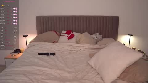 Ariel online show from 22, 12, 2024