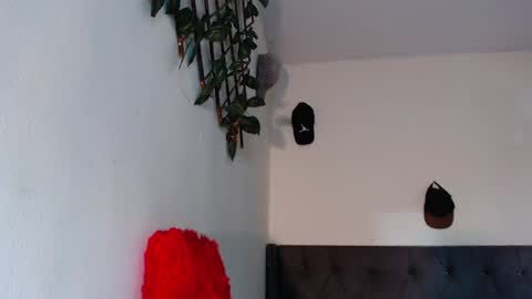 Snapshot of arielbronwxxx chatting on 29, 1, 2025 chris online show from 29, 1, 2025