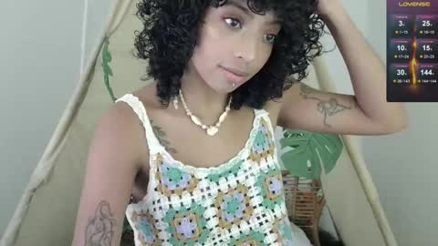 A R I   online show from 6, 1, 2026