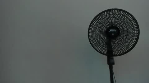 Ariel  online show from 12, 12, 2024