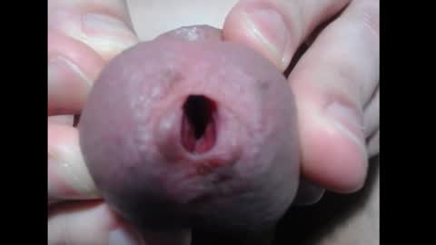 arkadyl online show from 1, 3, 2026