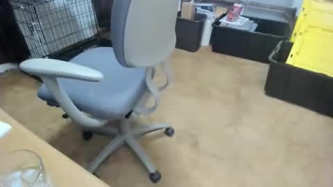 armalite16 online show from 18, 1, 2026