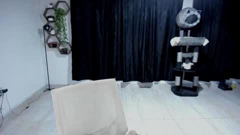 Snapshot of artemis_020 chatting on 11, 9, 2025 FENIX online show from 11, 9, 2025