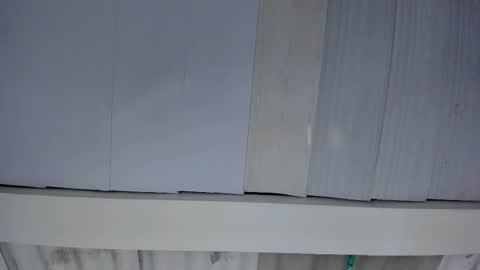 Snapshot of artemis_020 chatting on 19, 10, 2025 FENIX online show from 19, 10, 2025