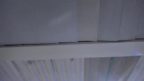 Snapshot of artemis_020 chatting on 20, 11, 2025 FENIX online show from 20, 11, 2025