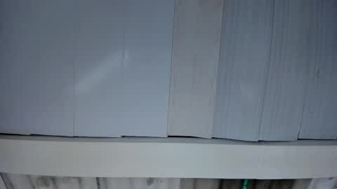 Snapshot of artemis_020 chatting on 25, 11, 2025 FENIX online show from 25, 11, 2025