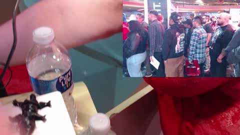 Snapshot of ashbashgirl chatting on 19, 1, 2026 SweetAshCheeks online show from 19, 1, 2026