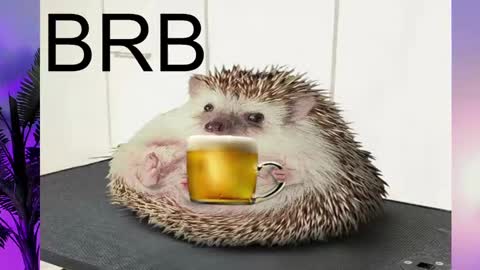 AshleyAshe  online show from 16, 2, 2025