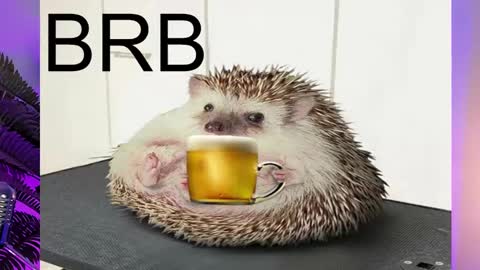 AshleyAshe  online show from 16, 2, 2025