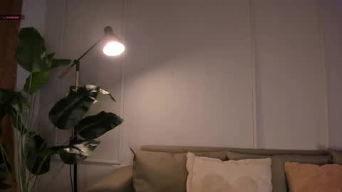   online show from 6, 6, 2026