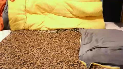 ashlery  online show from 17, 11, 2025