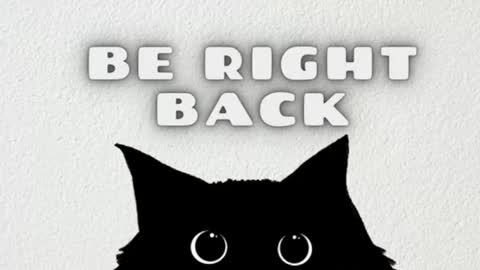 ashley_js online show from 6, 3, 2026