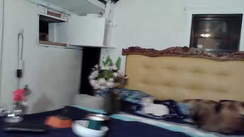 asianladyboy888 online show from 22, 2, 2026