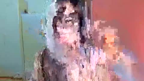 Tabby online show from 12, 2, 2026