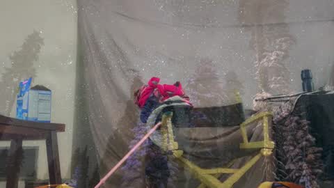 aspiringturtlegirl online show from 4, 3, 2026