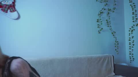 Zara online show from 8, 1, 2026