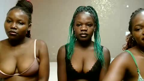 Auleria online show from 8, 6, 2026