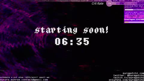 Snapshot of auragotchi chatting on 16, 2, 2025 Aurora Aura online show from 16, 2, 2025