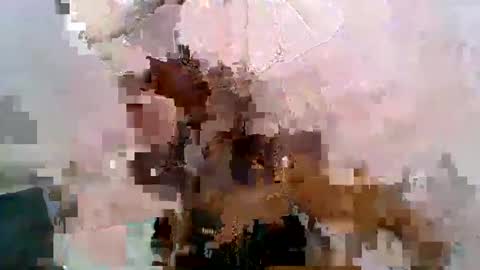 Snapshot of aurelia107 chatting on 31, 5, 2026 aurelia107 online show from 31, 5, 2026