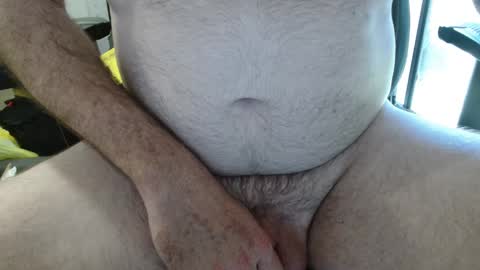 auscock83 online show from 2, 2, 2025