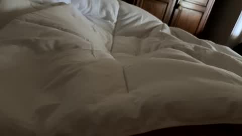 aussieguy1584 online show from 21, 2, 2026