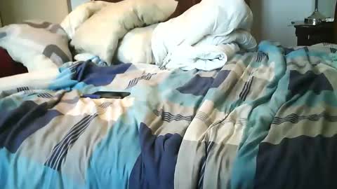 Austin online show from 15, 10, 2025