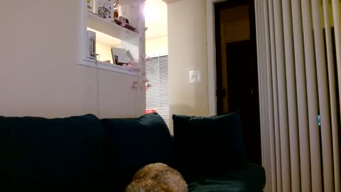 Snapshot of avaashley chatting on 7, 6, 2026 Ava Ashley online show from 7, 6, 2026