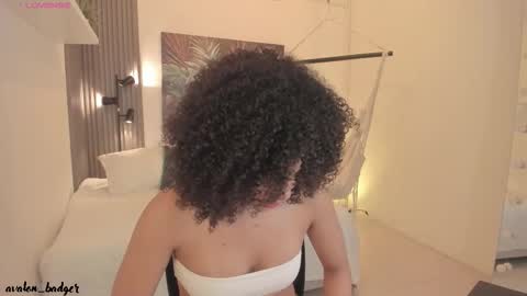 Snapshot of avalon_badger chatting on 25, 9, 2025 Avalon online show from 25, 9, 2025